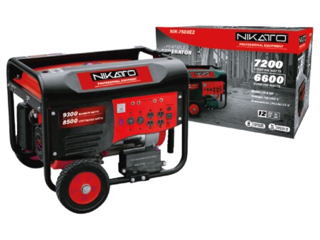 Gasoline & Gas Generator - 4.550W